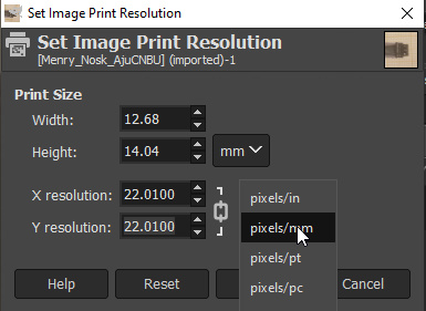 Setting Print Size